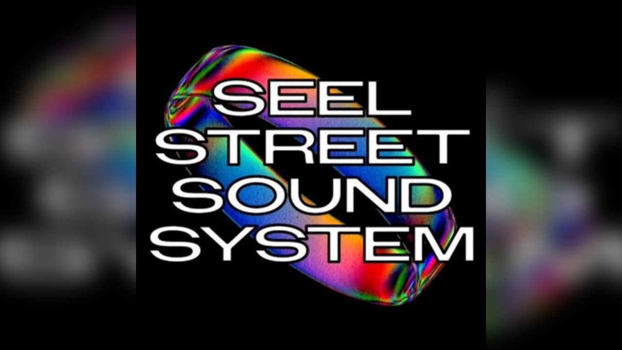 Seelstreet Soundsystem : Charity Skank