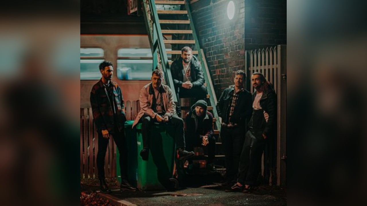 Street Cats of Corfu