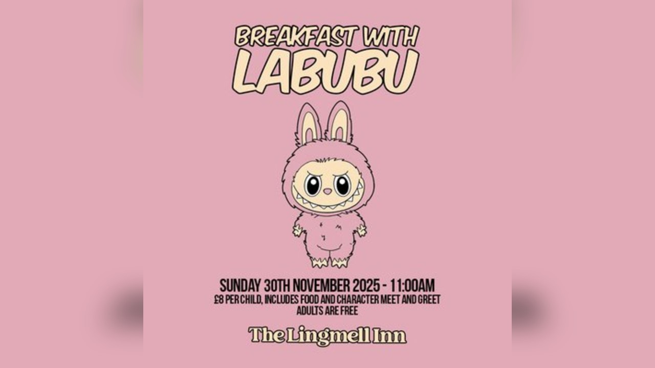 Breakfast With Labubu