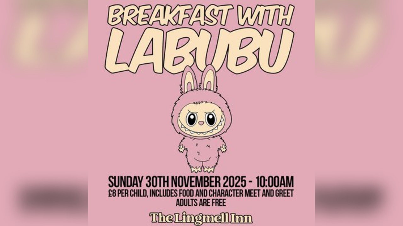 Breakfast With Labubu