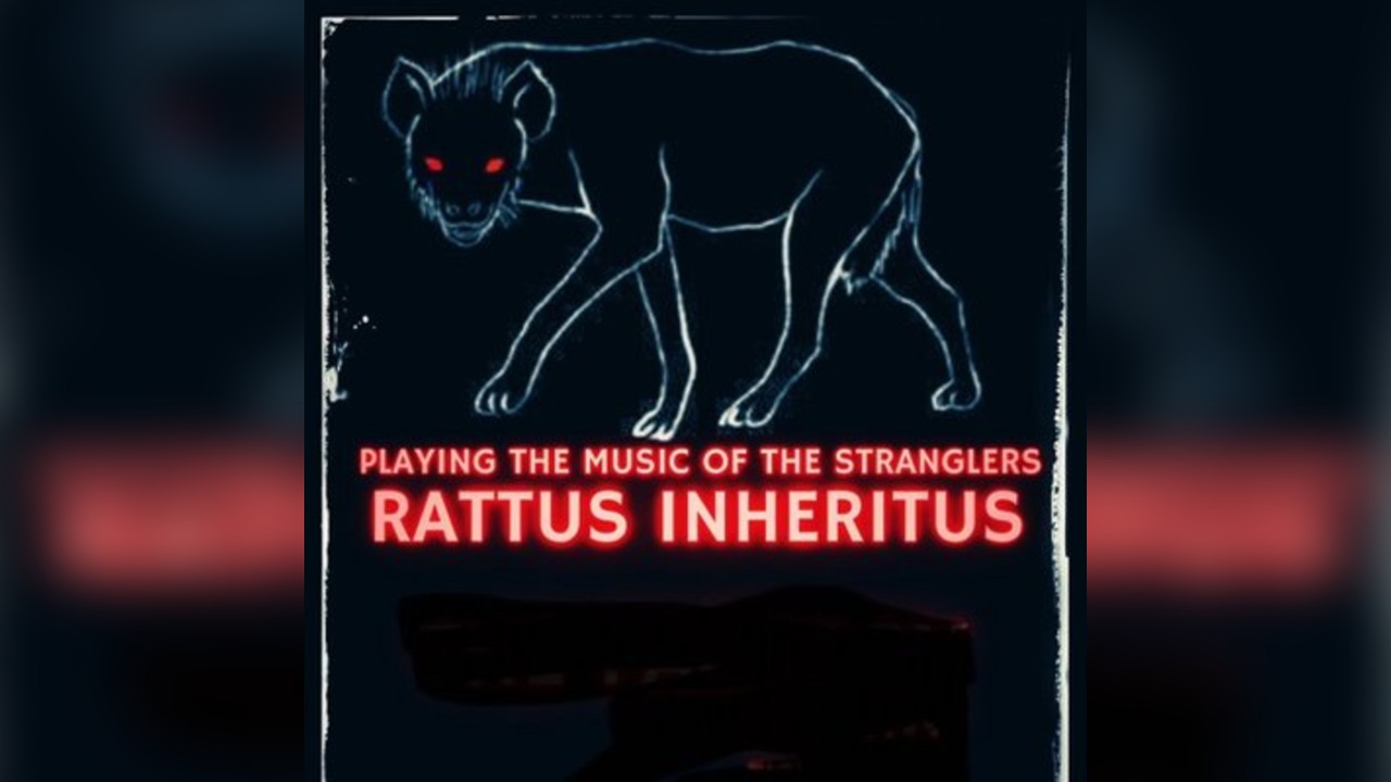 Rattus play the music of The Stranglers live.
