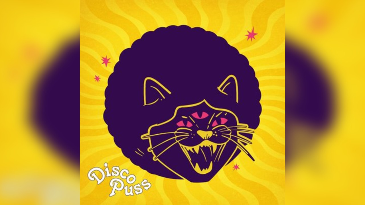 DISCO PUSS 4th Birthday