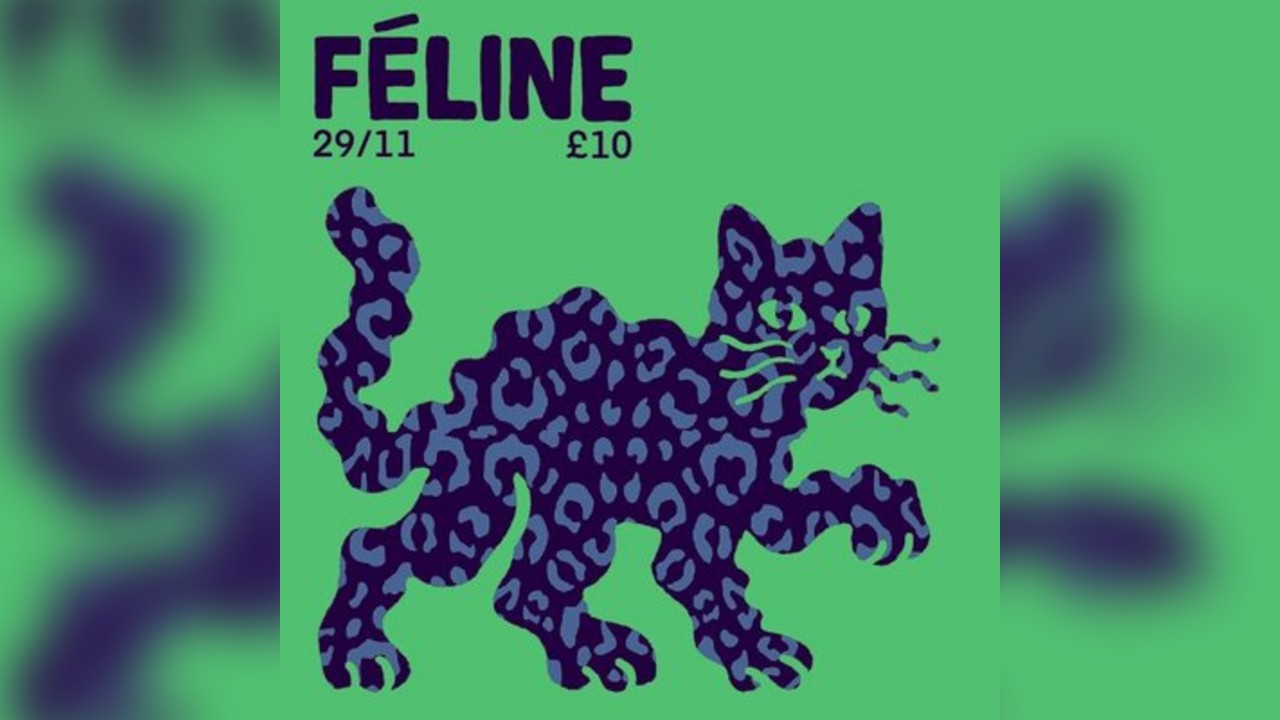Féline W/ Hannah / Conor Schmtz / Sophie/ Cian