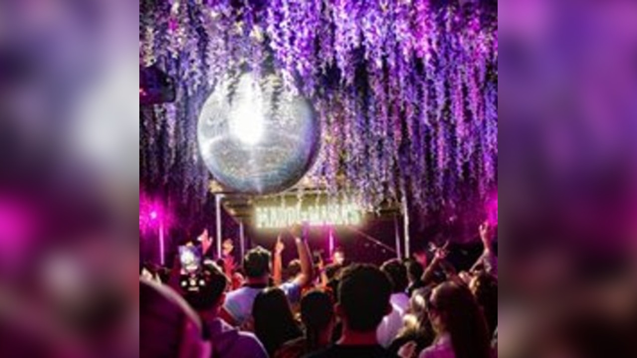 Mama's Friday w/ George Davis All Night Long + Live Music