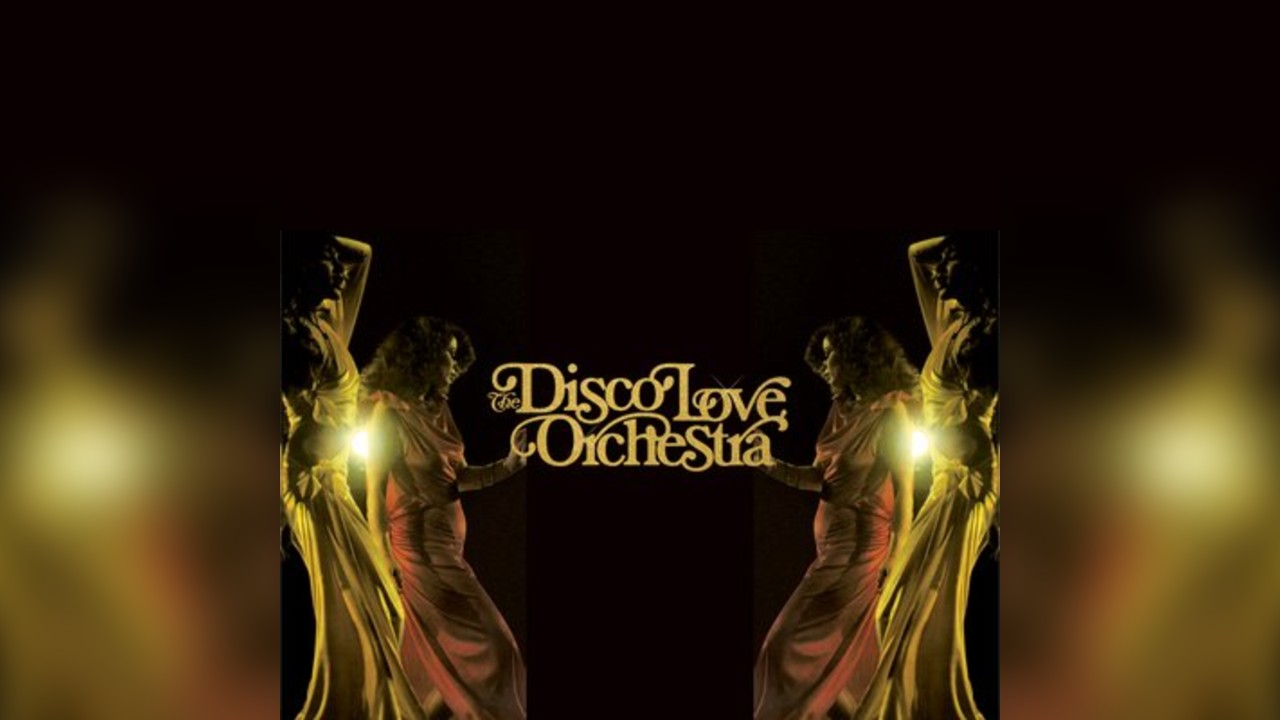The Disco Love Orchestra Live