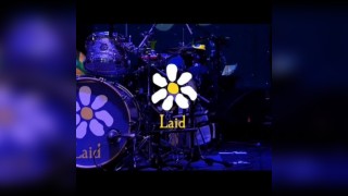 Laid - The James Tribute