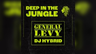 Deep in the Jungle - General Levy & DJ Hybrid