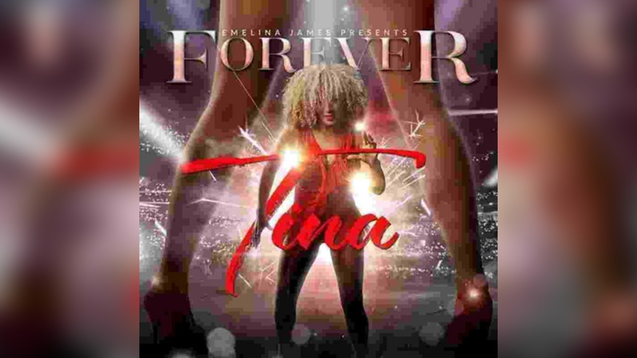 Emelina James as Tina Turner, Christmas Tribute Night