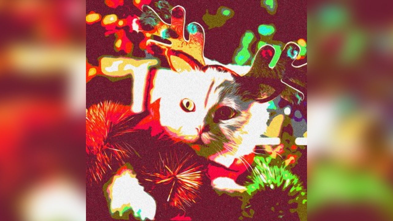 WINTER ROMANCE: Nottingham's biggest indie club night