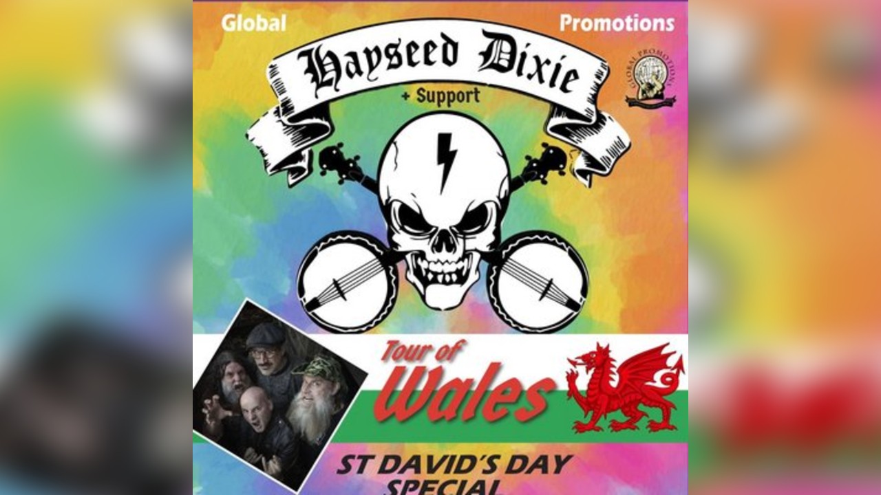 Hayseed Dixie & Support