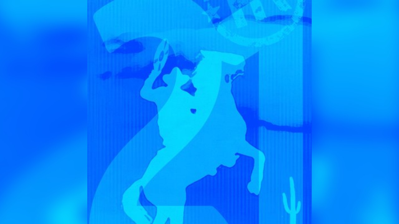 Home on the Range is 21 Friday 28 November