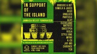In Support Of The Island - Volks, Brighton