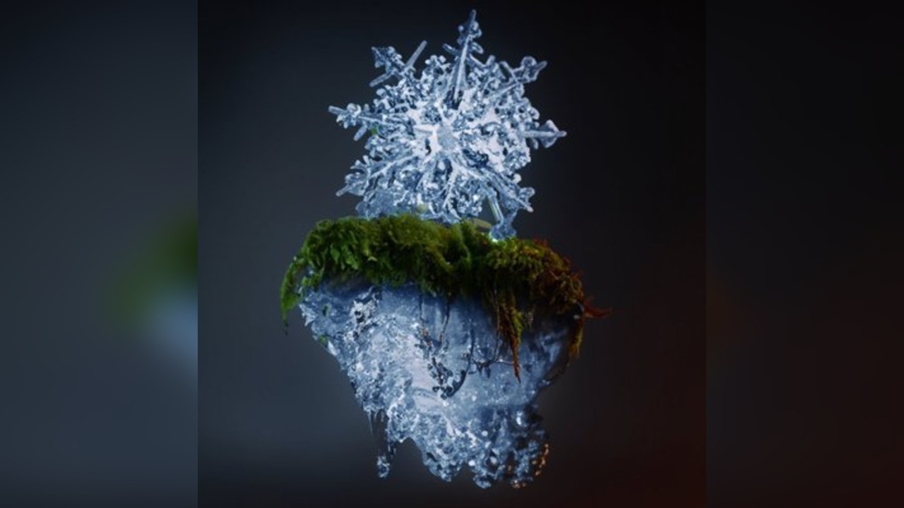 Ivy Collective x XLR presents: Phill De Janeiro