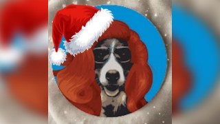 The Kings Heath Christmas Pantomime