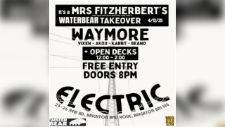 Electronic Takeover @ Mrs Fitzherberts