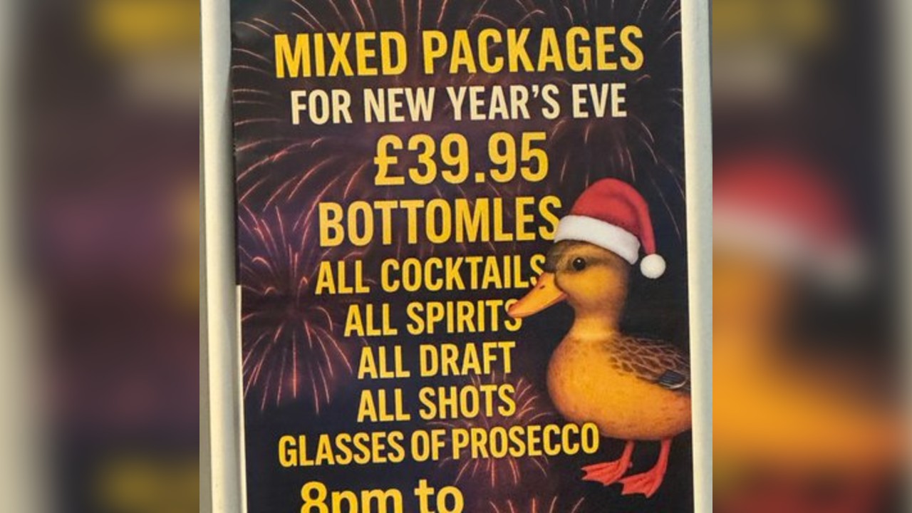 The Duck new years party