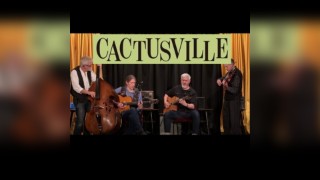 Cactusville @ The Greyston Unity, Halifax