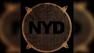 PubDub NYD - Sinai Sound System & Friends