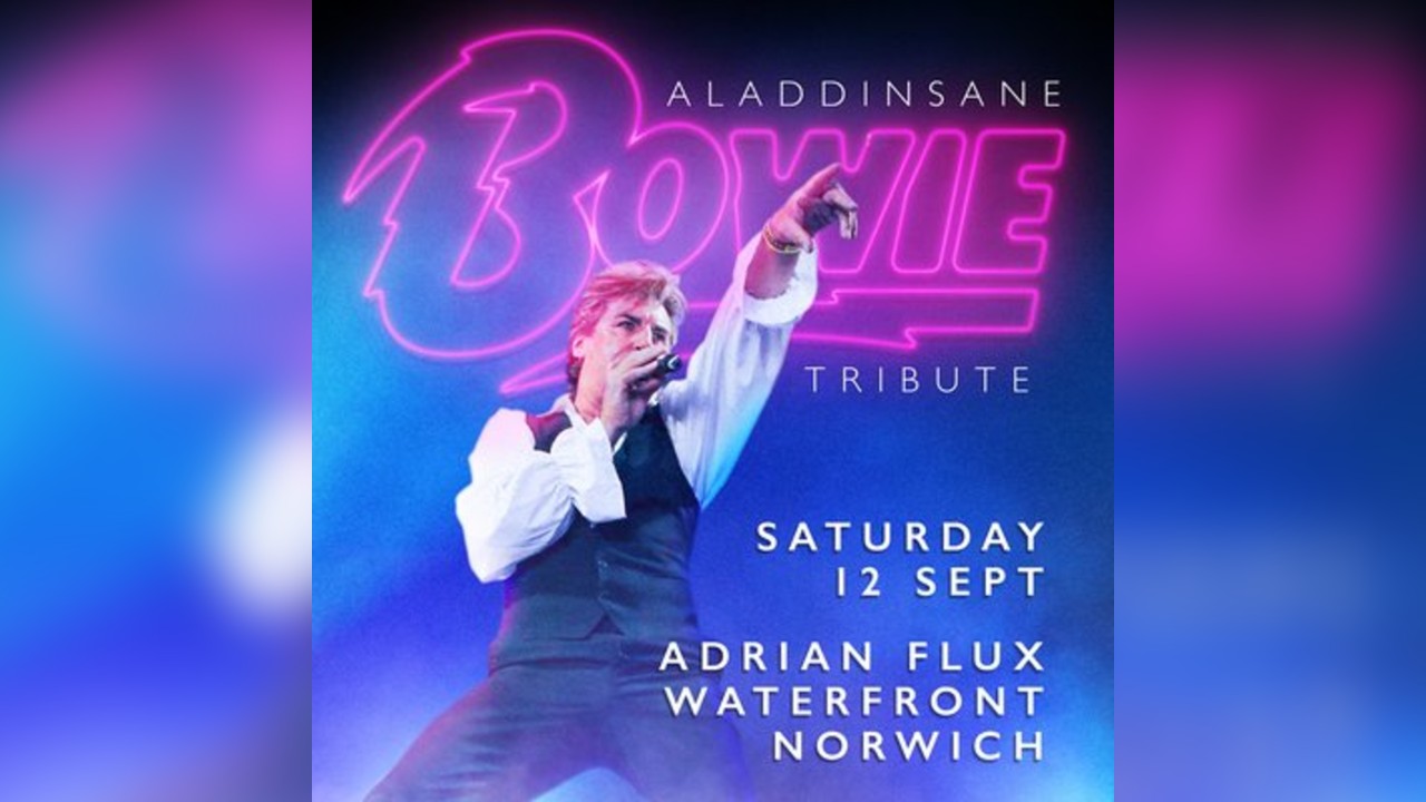 Aladdinsane - The Sound & Vision of Bowie tribute: Norwich