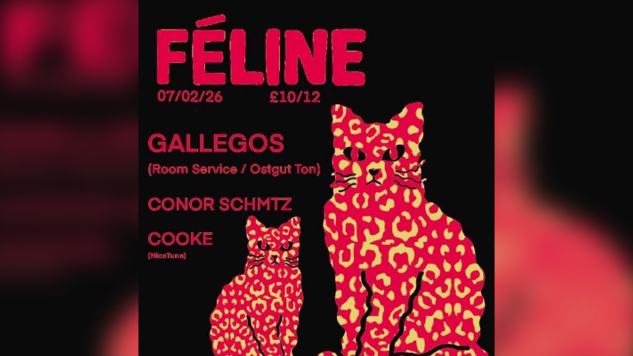 FÉLINE W/ Gallegos / Conor Schmtz /Cooke
