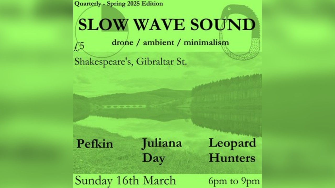 Slow Wave Sound #5