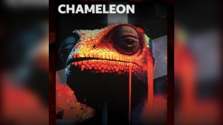 Chameleon Fridays