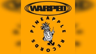 Warped x Pineapple Records: Tasha, Sam Binga, Nectax + more