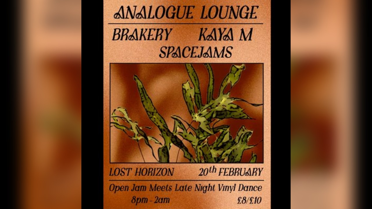 Analogue Lounge w/ Kaya M