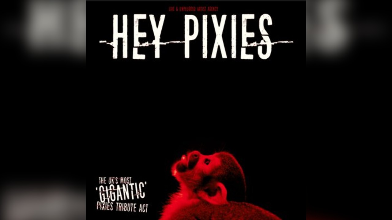 HEY PIXIES (Pixies Tribute) -Warrington Irish Club -Fri 5th Sept