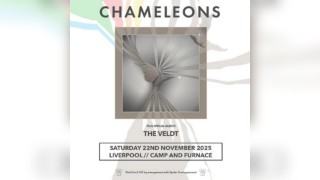 Chameleons - Liverpool