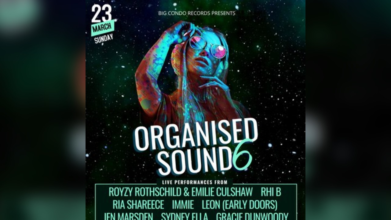 Big Condo Records Presents Organised Sound 6