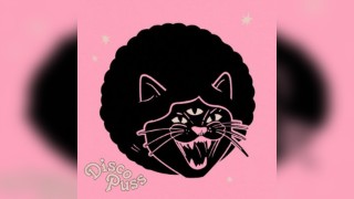 DISCO PUSS: MAY be a good time