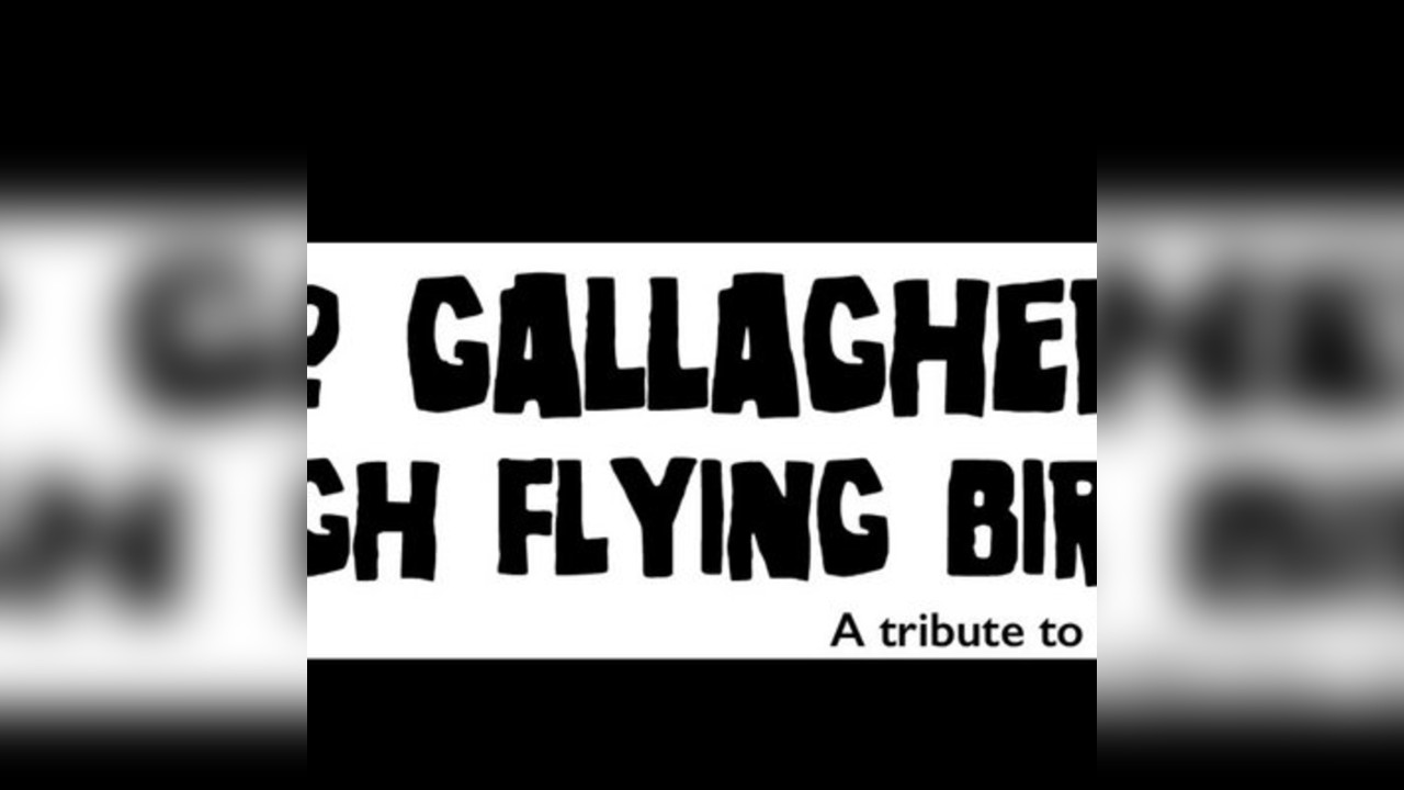 No Gallaghers High Flying Birds