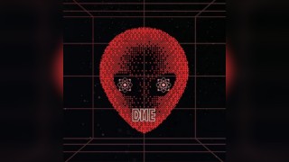 Dark Matter events