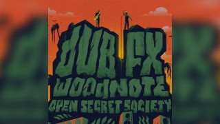 Dub FX / MK11 Milton Keynes