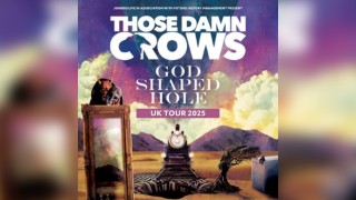 Those Damn Crows