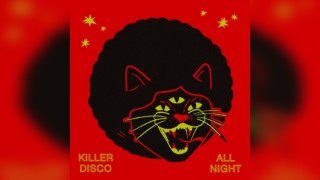 DISCO PUSS: The Pumpkin Scratch - Halloween Midnight Disco Ball