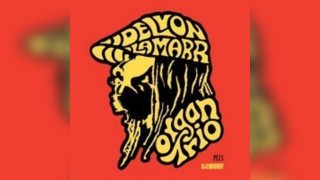Delvon Lamarr Organ Trio