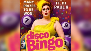 Disco Bingo Live