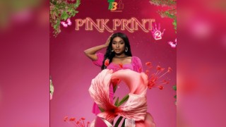PINK PRINT 2: summer exotic edition