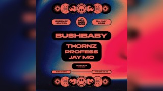 Free Range Sounds: Bushbaby