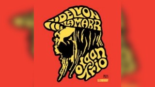 Delvon Lamarr Organ Trio