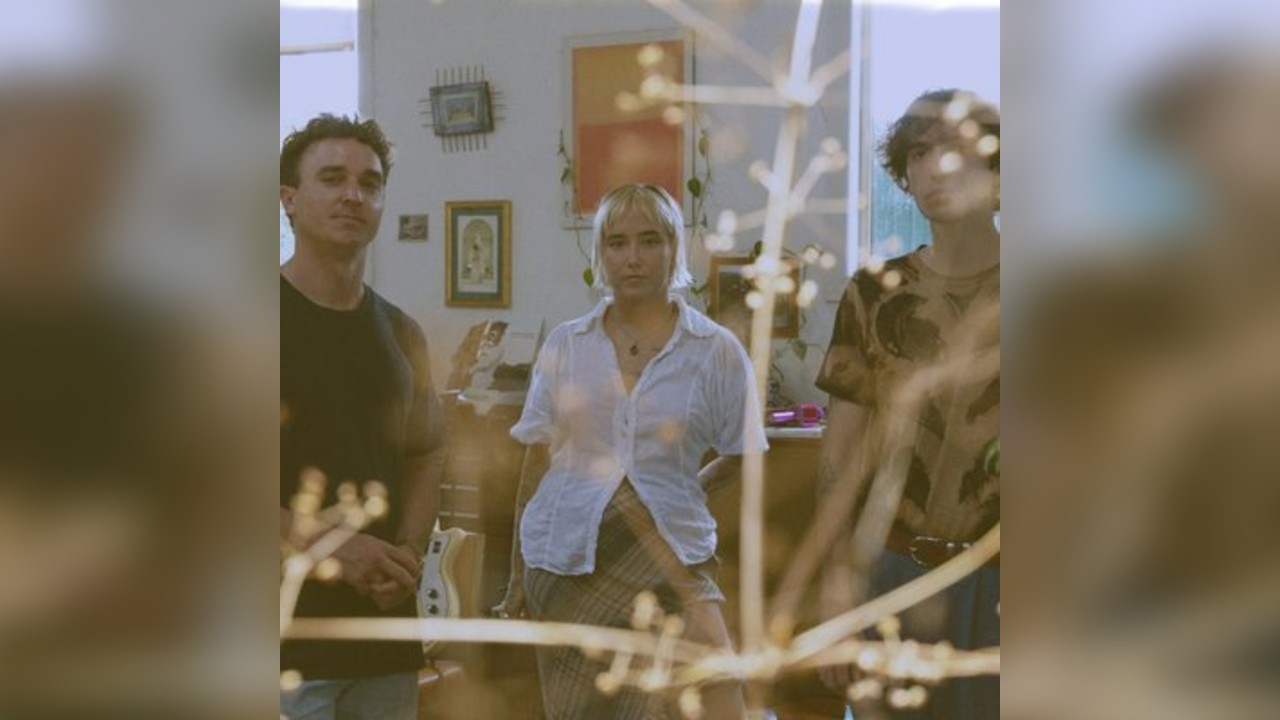 Daily Toll + Patrick Fitzgerald