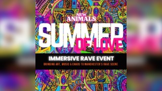 New Animals - Summer Of Love