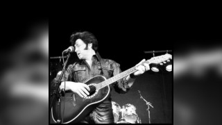 Delvis a live tribute to the king of rock n roll