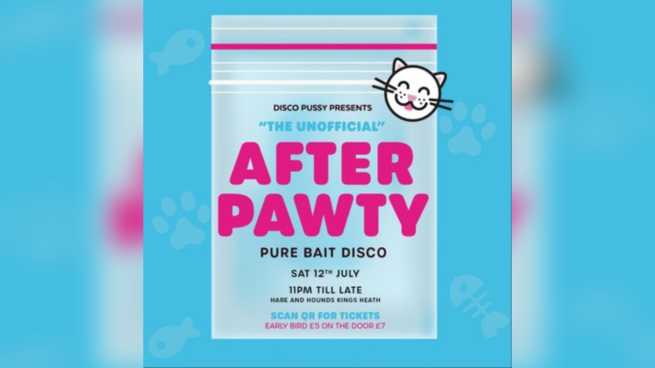 Disco Pussy