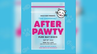 Disco Pussy