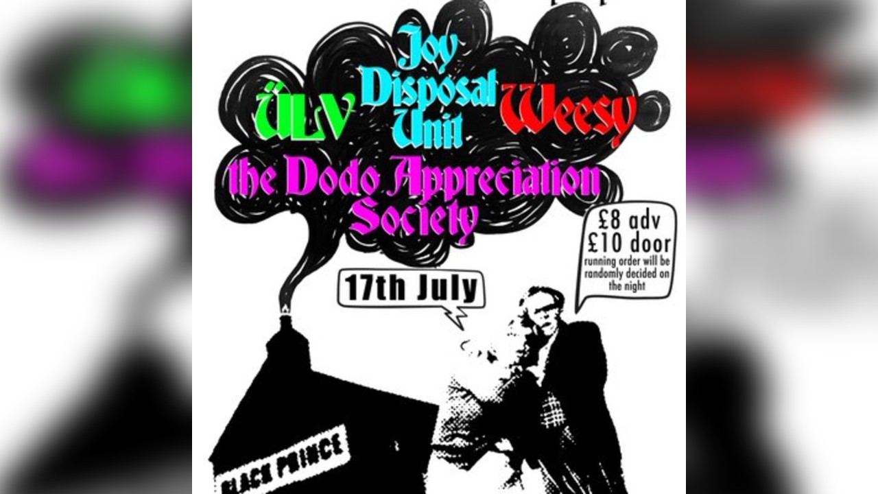 The Dodos, Weesy, JDU, and ÜLV live in Northampton