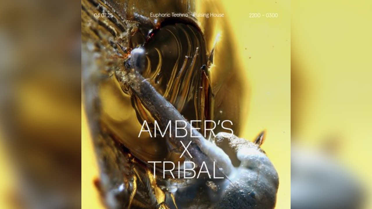 Amber's x Tribal