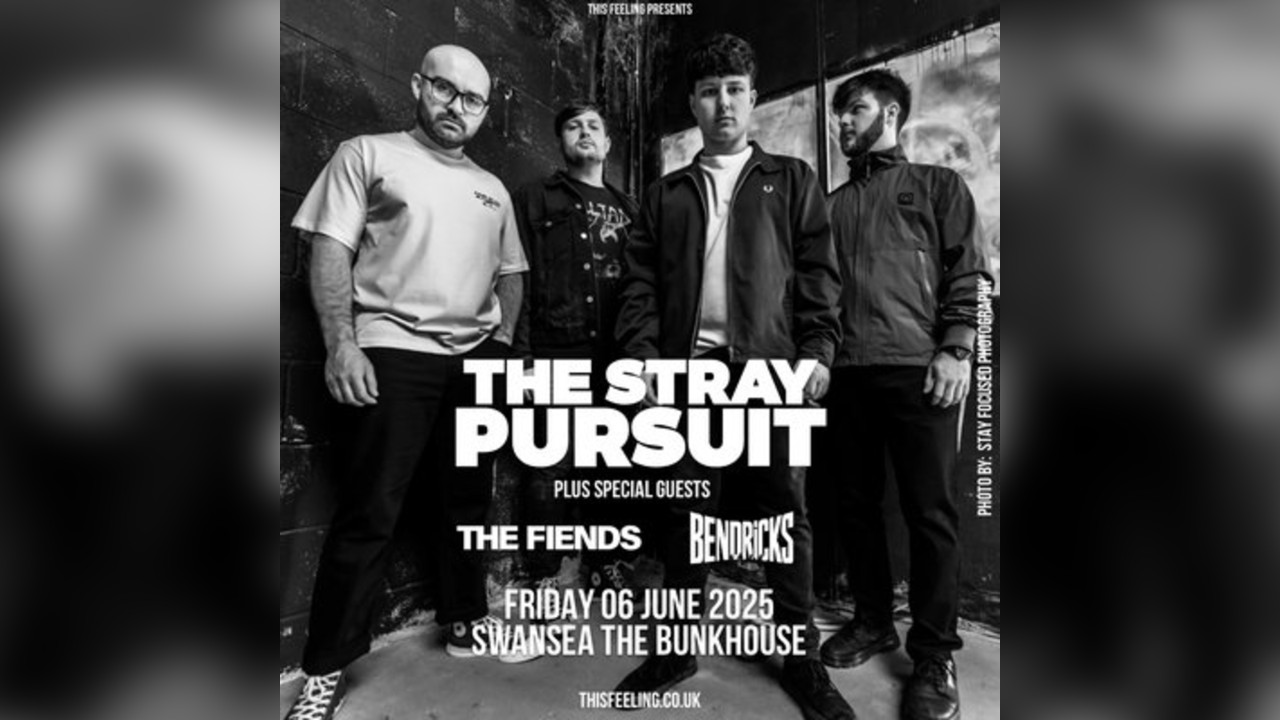 The Stray Pursuit - Swansea